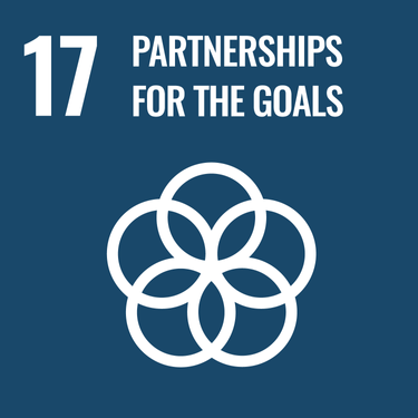 UN's Sustainable Development Goals - partnerships for the goals