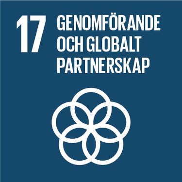 FN:s mål för hållbar utveckling - genomförande och globalt partnerskap