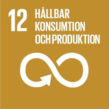FN:s mål för hållbar utveckling - hållbar konsumtion och produktion