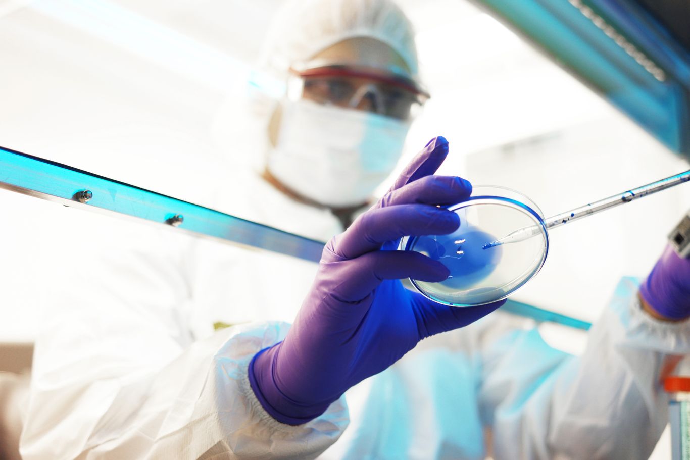 Scientist pipetting in a petri dish