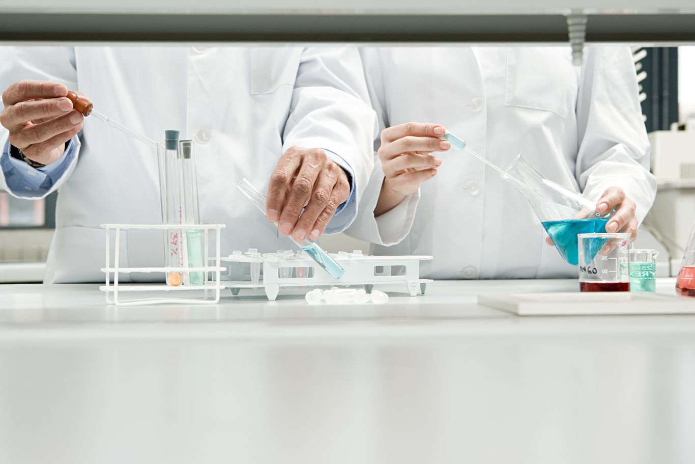 Researchers working in a lab