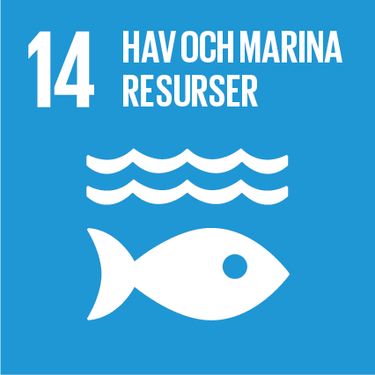 FN:s mål för hållbar utveckling - hav och  marina resurser