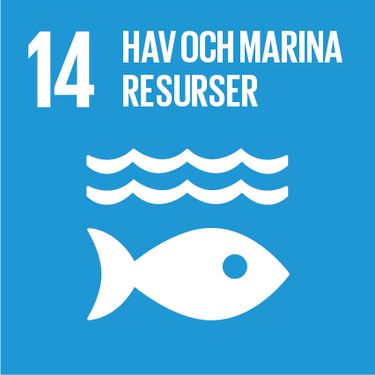 FN:s mål för hållbar utveckling - hav och marina resurser