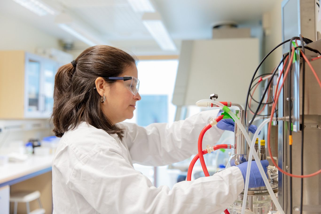 Researcher in Hansa's labs