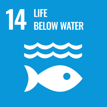 UN's Sustainable Development Goals - life below water