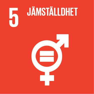 FN:s mål för hållbar utveckling - jämställdhet