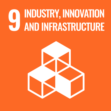 UN's Sustainable Development Goals - industry innovation and infrastructure