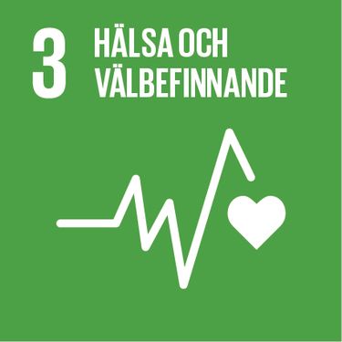 FN:s mål för hållbar utveckling - hälsa och välbefinnande