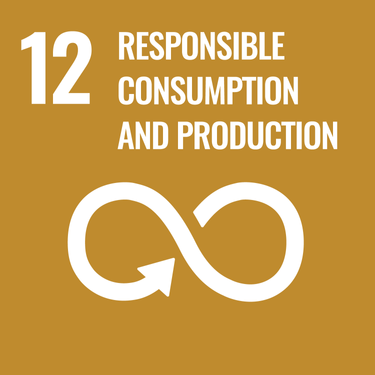 UN's Sustainable Development Goals - responsible consumption and production