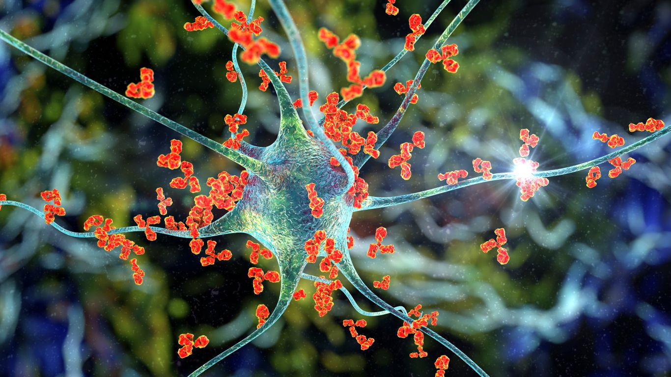 Antibodies attacking a neuron