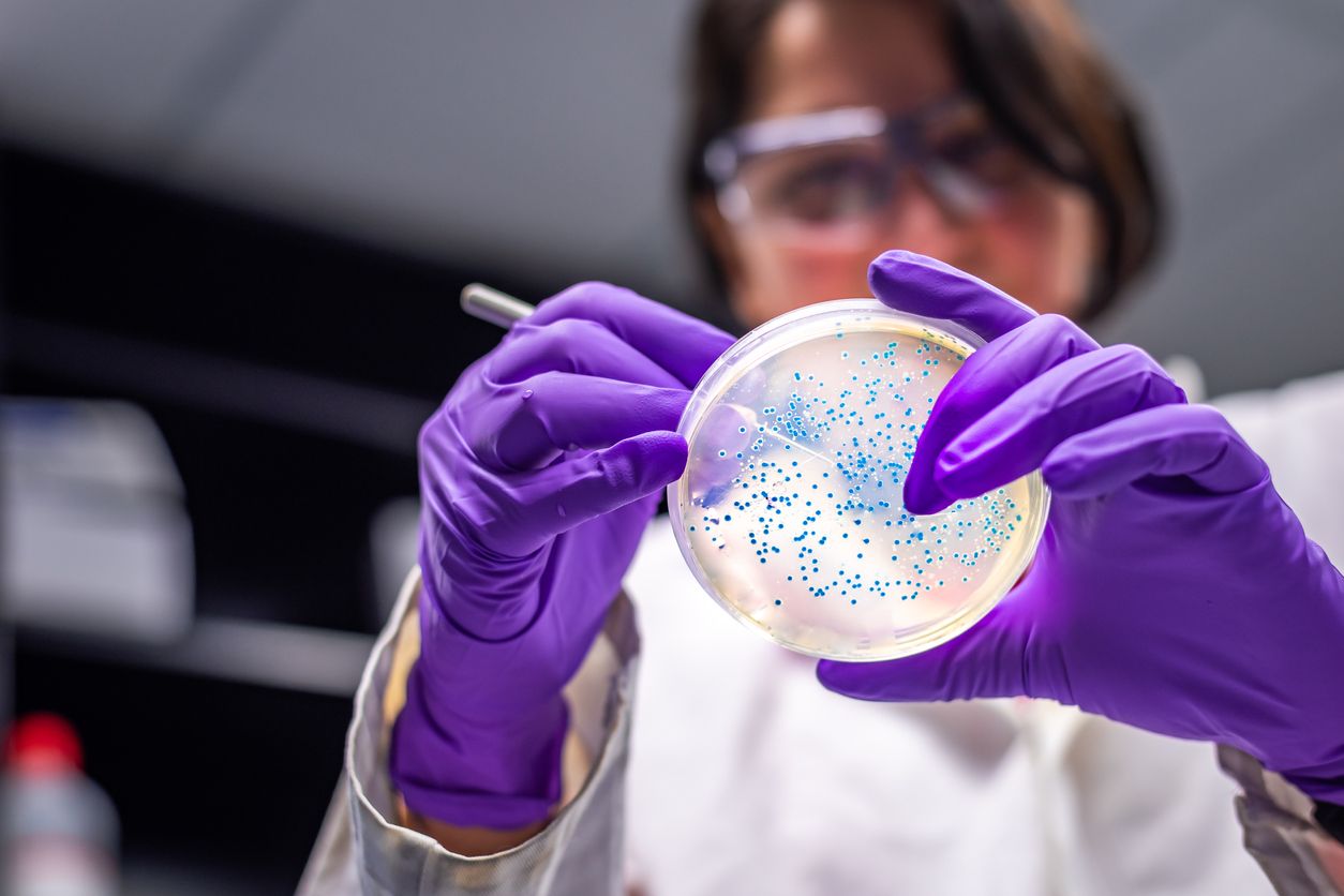 Researcher examining bacteria